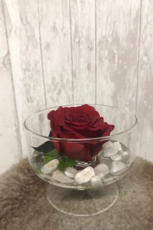 Roses stabilisées prestige – Sky Sea Land Flowers, fleuriste Cagnes-sur-Mer