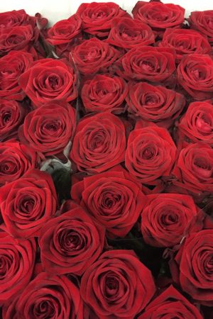 Bouquet de 7 roses rouges – Sky Sea Land Flowers, fleuriste Cagnes-sur-Mer