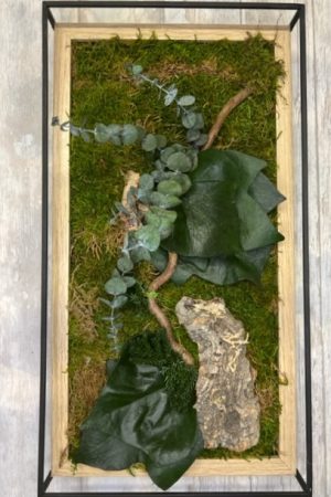 Tableau végétal stabilisé cadre métal 42x23 cm – Sky Sea Land Flowers, fleuriste Cagnes-sur-Mer
