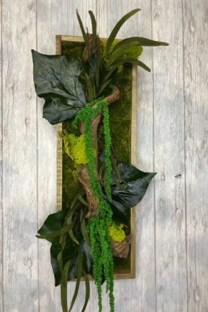 Tableau végétal stabilisé liane tropicale 42x14 cm – Sky Sea Land Flowers, fleuriste Cagnes-sur-Mer