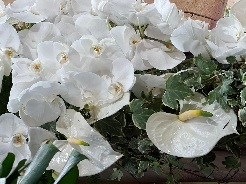 Composition d’orchidées blanches – Sky Sea Land Flowers, fleuriste Cagnes-sur-Mer