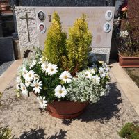 Fleurissement de tombe avec plantes et fleurs blanches – Sky Sea Land Flowers, fleuriste Cagnes-sur-Mer